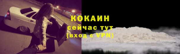 стаф Вяземский